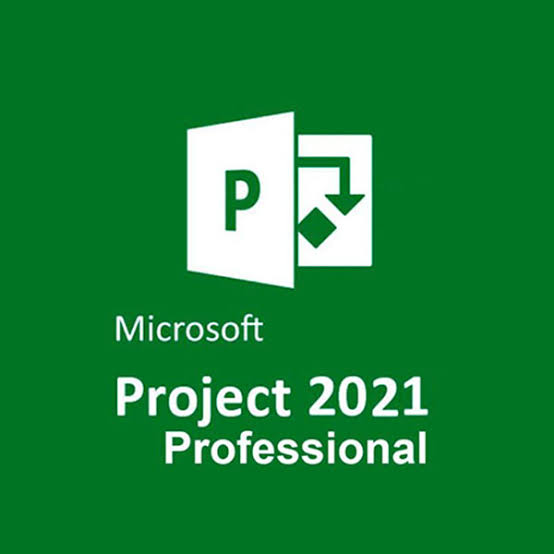 Project 2021 Professional Dijital Lisans
