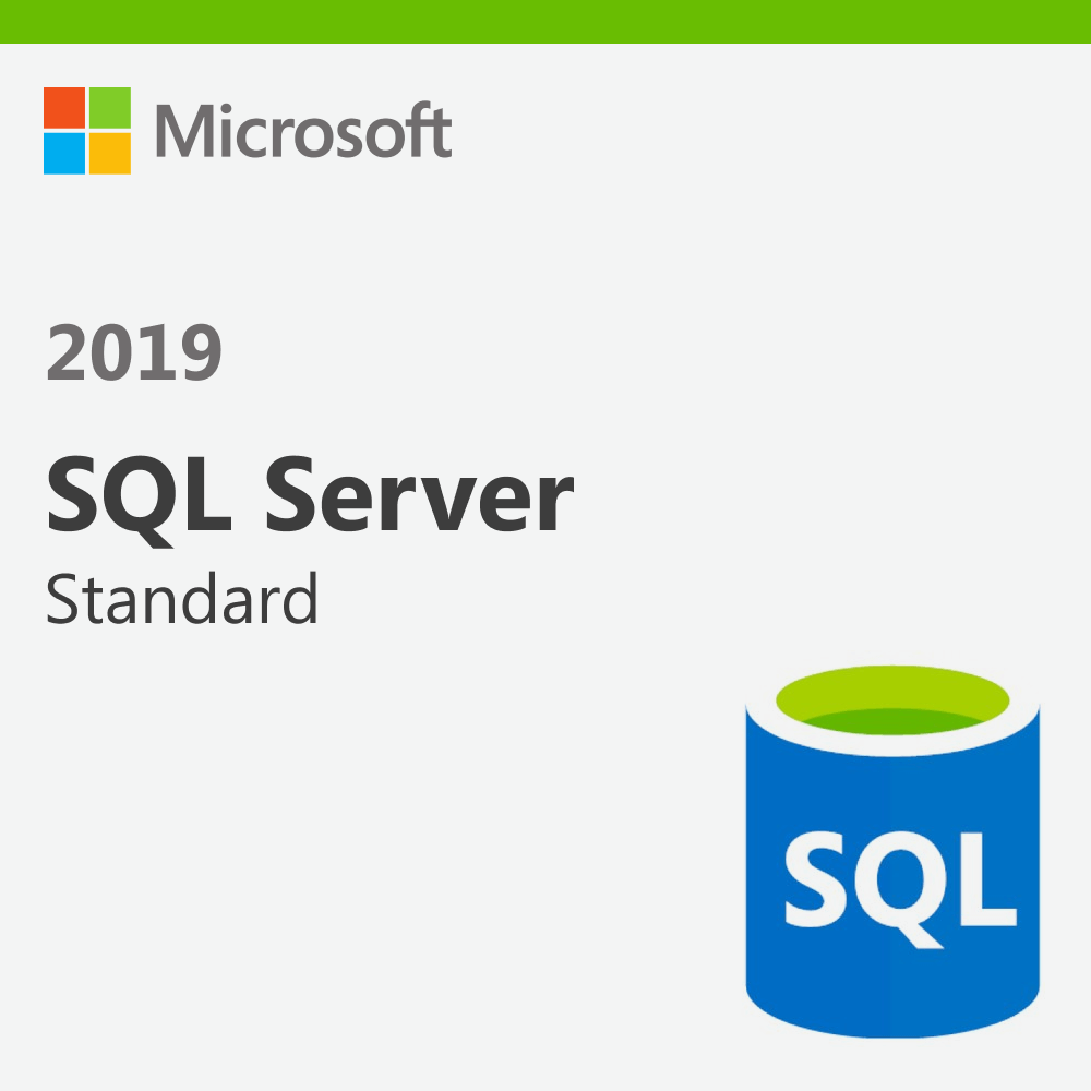 SQL Server 2019 Standard Lisans